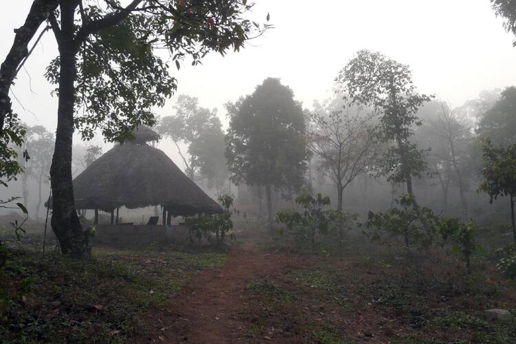 Jenukallu Valley Retreat, Hassan 2